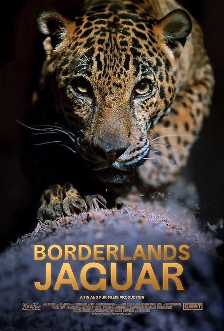 جگوار سرزمین‌های مرزی (Borderlands Jaguar) — تصویر 1